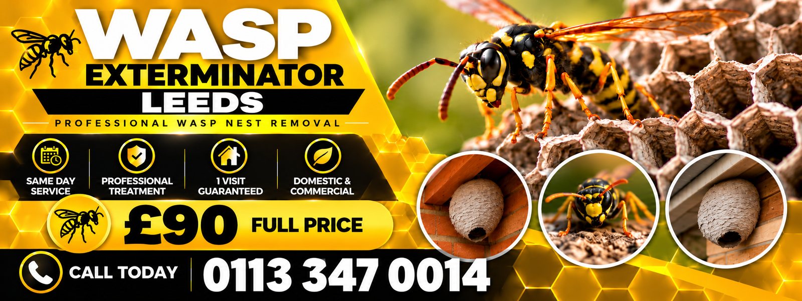 Wasp Exterminator Leeds, professional wasp nest removal, same day service, £90 full price, call 0113 347 0014